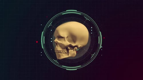 Skull Grid 2