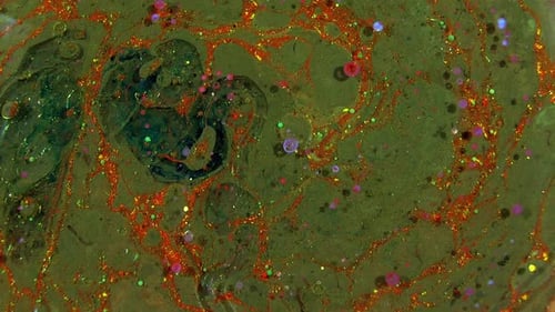 Fluid Abstract Background with Swirls and Colors