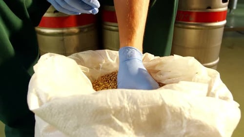 Brewer holding grains 4k