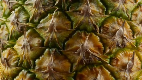 pineapple texture close up