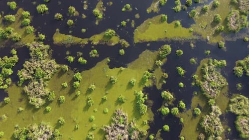 Aerial view look down peatland