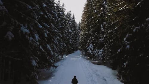 Aerial view of man walking in Winter forest in Montenegro, Zhabljak village