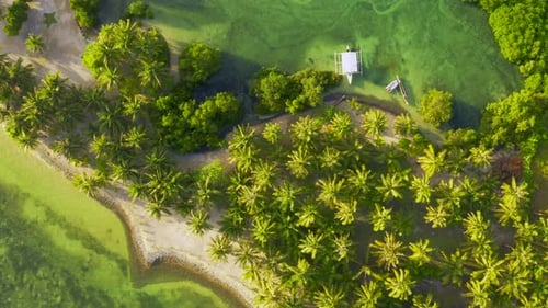 Romantic Couple Resting at Maldives Seaside Aerial View