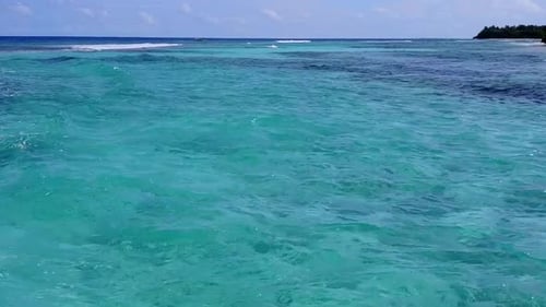 Luftaufnahme Meereslandschaft der Lagune Beach Wildtiere am blauen Ozean mit Sandhintergrund