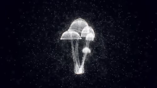 Looped 3D Mushrooms