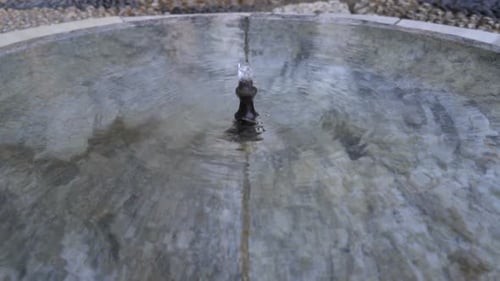Fountain Garden