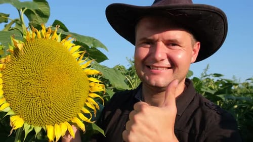 Farmer With Sunflower Gives Thumbs Up in Field