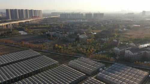 Greenhouses and Urban Development from Aerial View