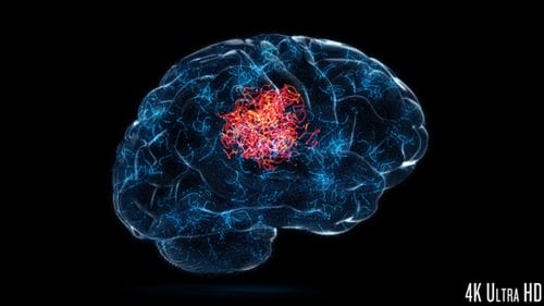 Human Brain with Glowing Neural Network Activity