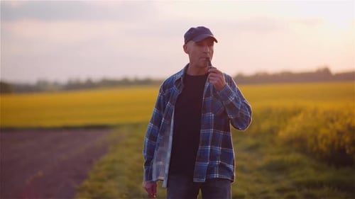 Erfolgreicher moderner Landwirt raucht seine Pfeife auf Feld, während er die Landwirtschaft untersucht