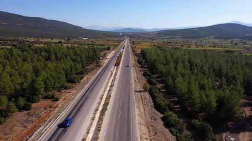 Asphalt Road and Green Forest with Mountain Landscape in Summer