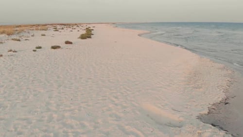 Aerial View of Sandy Beach and Ocean with Waves