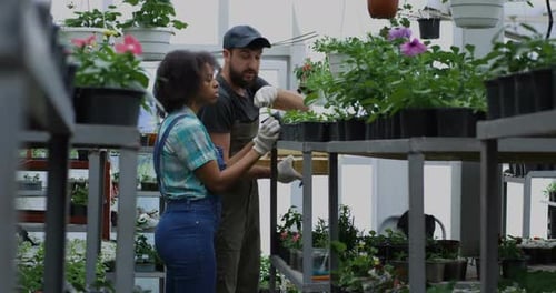 Two People Discussing Plants in a Greenhouse