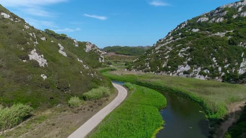 Green Nature