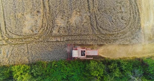 Combine Harvester Working in Agricultural Field
