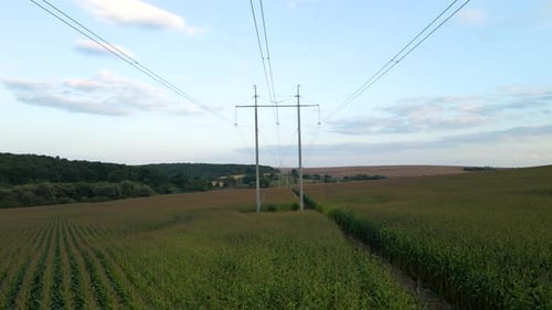 Tower with Electric Power Lines for Transfering High Voltage Electricity Located in Agricultural