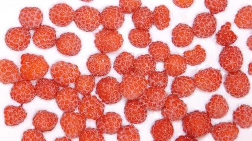 Red Salmonberries Piled Together in Creamy Liquid