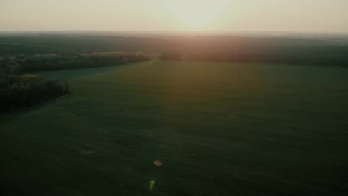 Vista aérea del campo verde al atardecer, campo