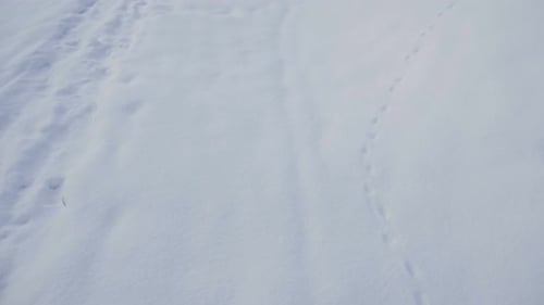 Fresh Snow with Footprints in Winter