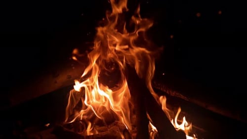 Wood Fire (4K)
