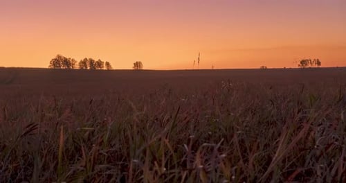 Flat Hill Meadow Timelapse at the Summer Sunrise Time. Wild Nature and Rural Grass Field. Sun Rays