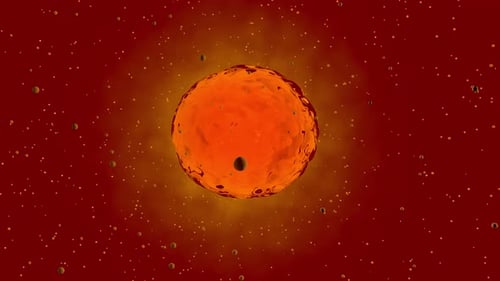 3D gerenderte Animation, Visualisierung des Prozesses der Stammzellteilung