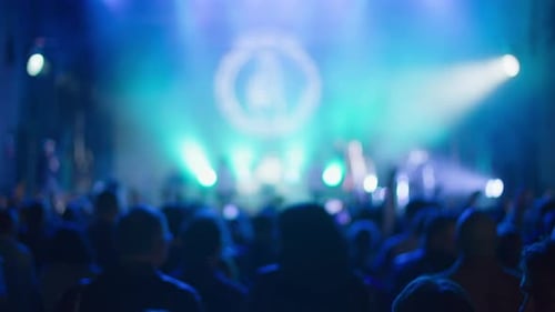 Energetic Concert Crowd Cheering Under Stage Lights