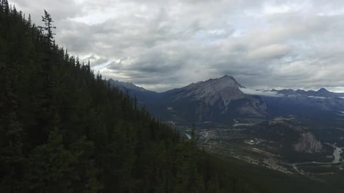 Mountain slope covered with trees
