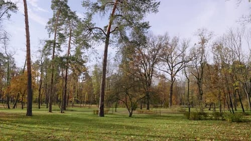 Autumnal City Park