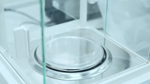 Adding White Granules to Petri Dish in Lab