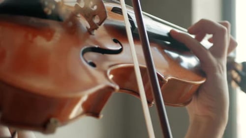 Close-up of the violinist: Musician playing violin classic music