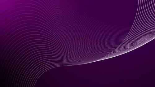Abstract Fluid Wavy Lines Moving Purple Background