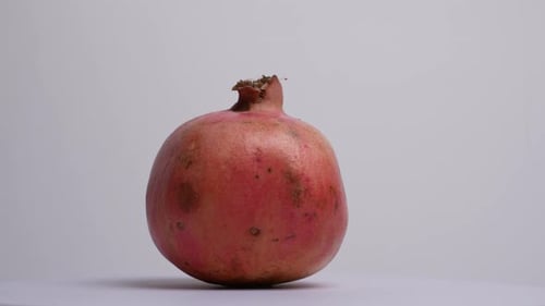 Granatapfel 08