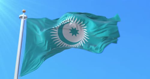 Drapeau du Conseil turc