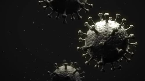 Virus Coronavirus