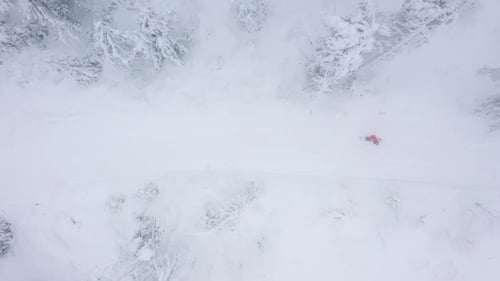 Top View of a Man Who Snowboarding Down a Mountainside Among Snowy Trees