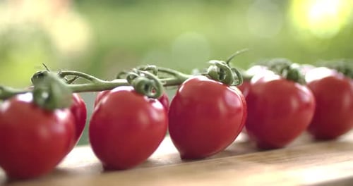 Fresh Red Cherry Tomatoes on the Vine