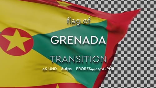 Realistic Waving Flag Reveal Transition