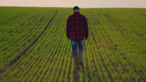 Agriculture