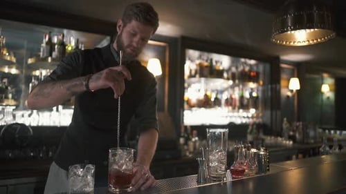 Handsome Bartender Mixing Drink at Upscale Bar