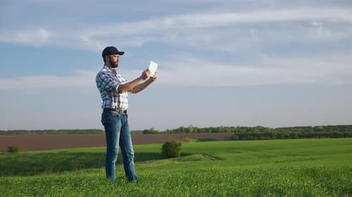 Farmer Uses Tablet in the Field of Young Green Barley