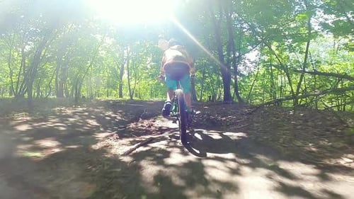 A Boy Rides a Bicycle on a Path in the Forest. The Road in the Spring Park. Children's Sport.