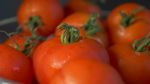 Ripe Red Tomatoes in a Bowl Close-Up