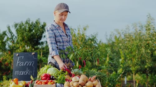 The Seller at the Farmers Market Tears Fresh Pepper From a Branch and Puts It on the Counter. Farm
