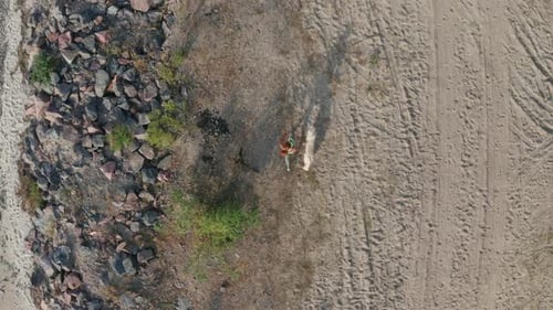 Top View of Fit Woman Jogging Along Coast with Dog