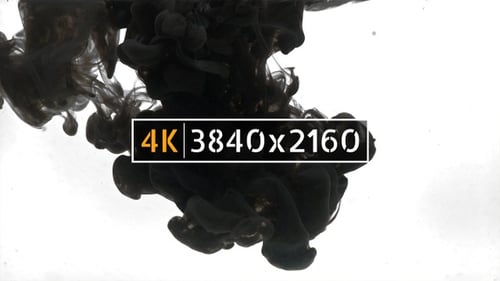 Black Ink Swirling Slowly in Clear Liquid