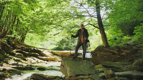 Senior Male Hiker with Backpack andNordic Walking Poles Standing on a Large Rock