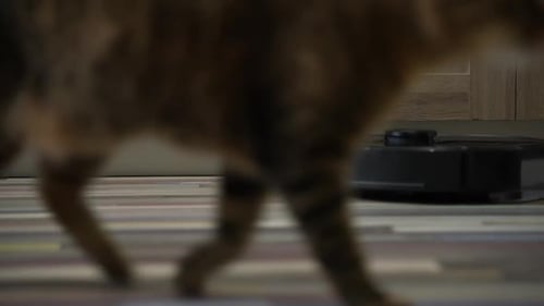 Black Robotic Vacuum on Hardwood Floor