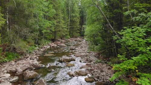 Forest River of the Southern Urals in Russia.