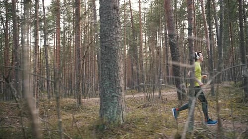 Man in Bright Yellow Tshirt Runs Through Pine Forest